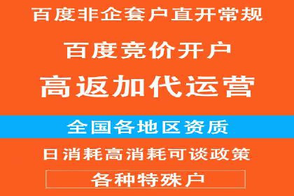 百度平台广告投放策略及成功案例分享